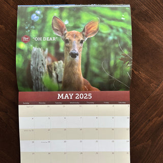 2025 Calendar - Pure Muskoka Moments